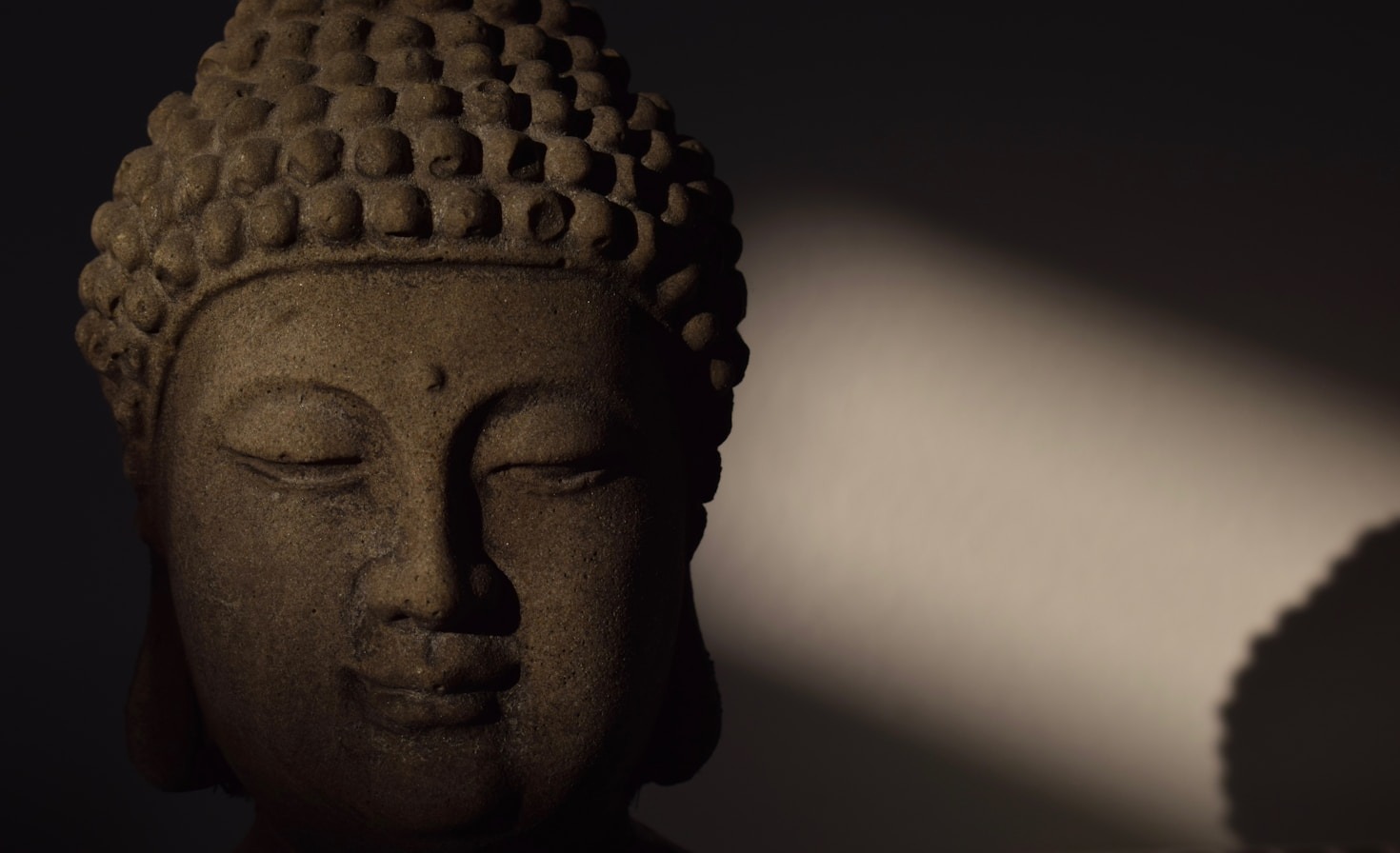 The History of Buddhism: A Journey Through Time
